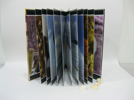 Stylist Imagewrap Layflat Hardcover 03